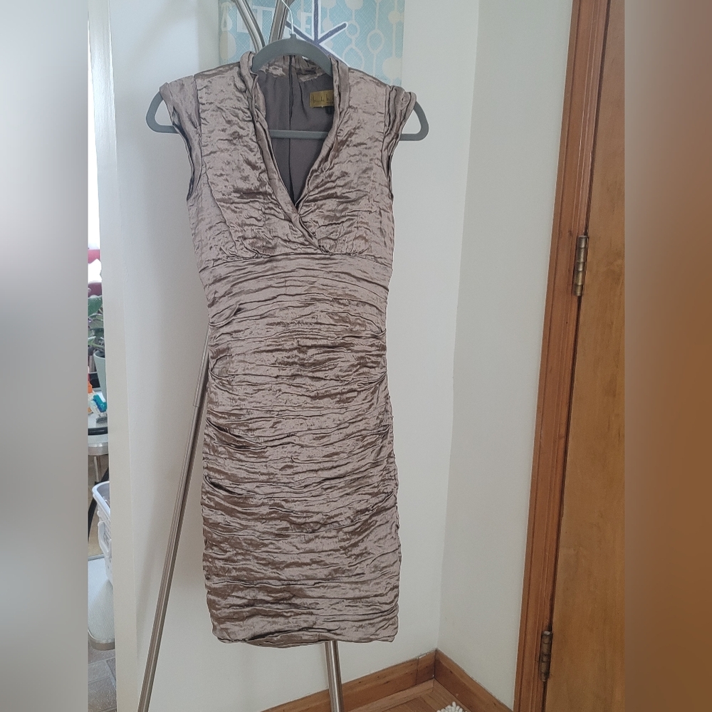 NICOLE MILLER Champagne Crinkle Dress.  Sz 4P - Picture 6 of 6